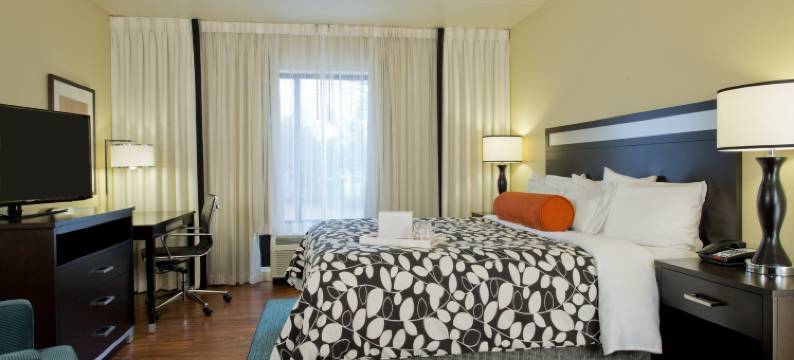 Hotel Indigo 亚特兰大大学园区(Hotel Indigo ATLANTA AIRPORT - COLLEGE PARK by IHG)图片