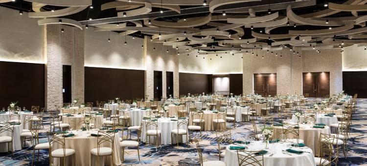 卡普卡纳Hyatt乐家酒店 - 全包(Hyatt Ziva Cap Cana)图片