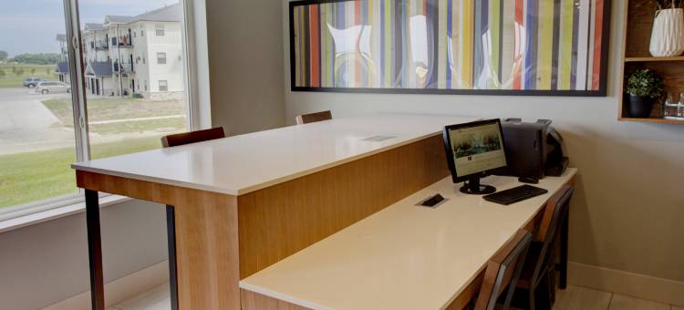 勒马斯智选假日套房酒店(Holiday Inn Express & Suites LE MARS by IHG)图片