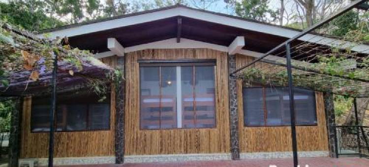 天堂旅馆(Paradiso Hostel)图片