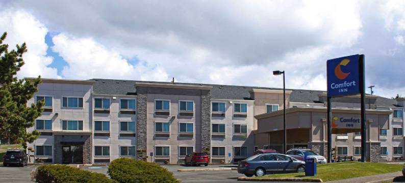 舒适酒店(Comfort Inn)图片