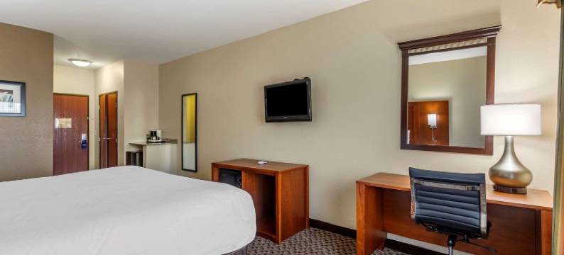 卡尔德本大学区舒适套房酒店(Comfort Inn & Suites Carbondale University Area)图片