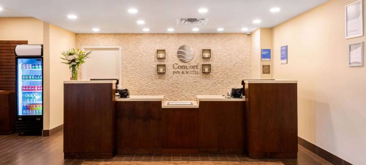 舒适套房酒店(Comfort Inn & Suites)图片