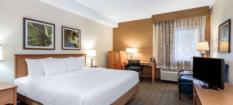 奥兰多南拉昆塔温德姆套房酒店(La Quinta Inn & Suites by Wyndham Orlando South)图片