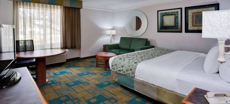 南佛罗里达大学拉昆塔温德姆套房酒店-近布希花园(La Quinta Inn & Suites by Wyndham USF (Near Busch Gardens))图片