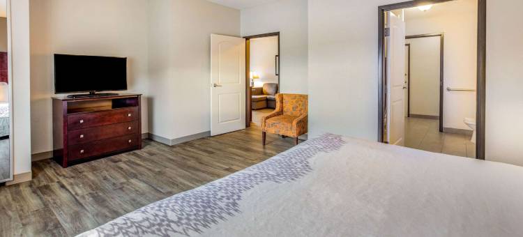 麦金尼拉昆塔温德姆套房酒店(La Quinta Inn & Suites by Wyndham McKinney)图片