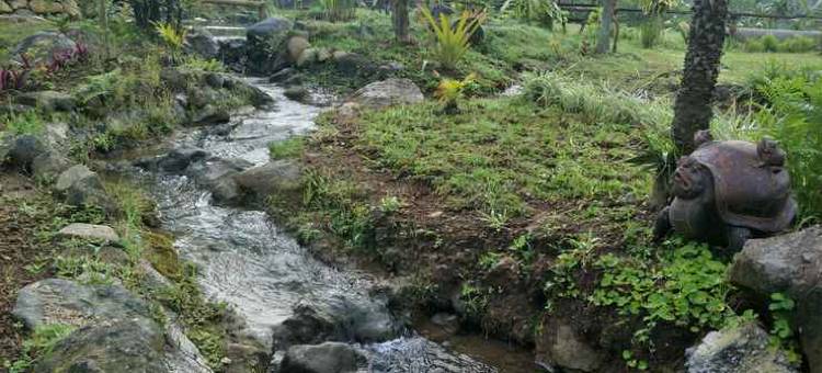 @Niek Homestay图片