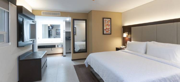 萨米尔广场智选假日酒店(Holiday Inn Express - Mexico Basilica)图片