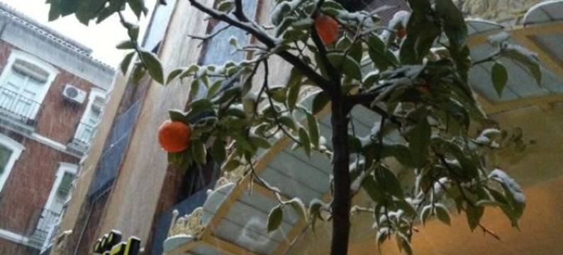 萨克罗蒙特住宿(Hotel Sacromonte)图片