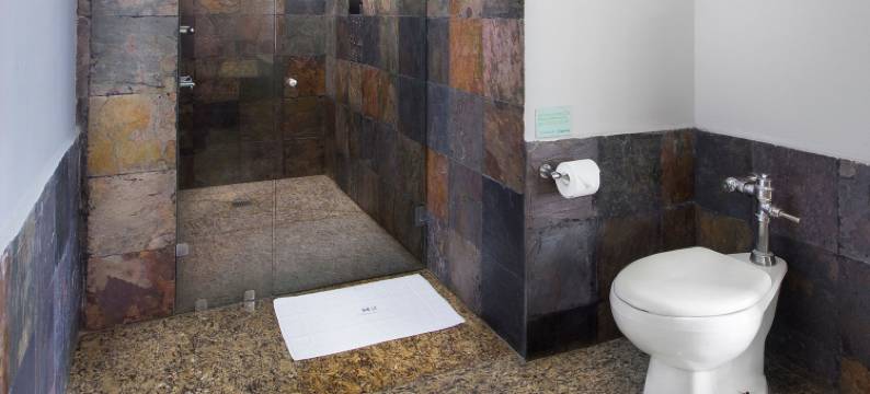 Hotel MX congreso CDMX, Trademark Collection by Wyndham图片