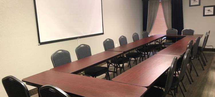 格林维尔丽怡酒店(Country Inn & Suites by Radisson, Greenville, NC)图片