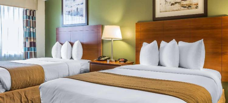 凯艺酒店-弗拉明戈(Quality Inn Flamingo)图片