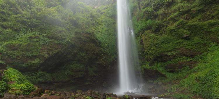 格里亚普拉迪帕清真酒店-靠近巴图市政厅-美特拉红门酒店(Griya Pradipa Syariah Near Balai Kota Batu Mitra RedDoorz)图片