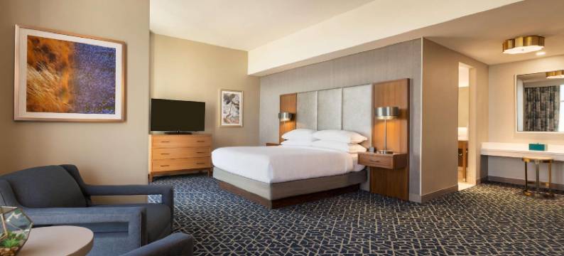 登顿会议中心希尔顿安泊套房酒店(Embassy Suites Denton Convention Center)图片