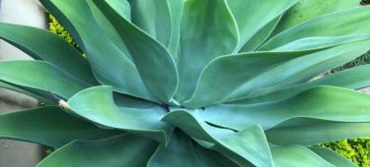 日出精品酒店(Sunrise Boutique Hotel)图片