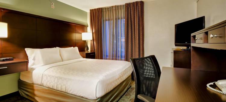 Staybridge Suites 休斯顿WILLOWBROOK(Staybridge Suites Houston Willowbrook)图片