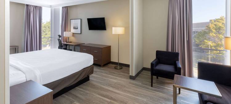 塔尔萨市中心/66 号公路拉昆塔温德姆套房酒店(La Quinta Inn & Suites by Wyndham Tulsa Downtown/Route 66)图片