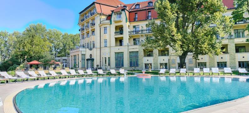 恩萨纳疗养宫水疗酒店(Ensana Thermia Palace)图片