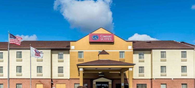 迈阿密斯堡-南代顿舒适全套房酒店(Comfort Suites Miamisburg - Dayton South)图片