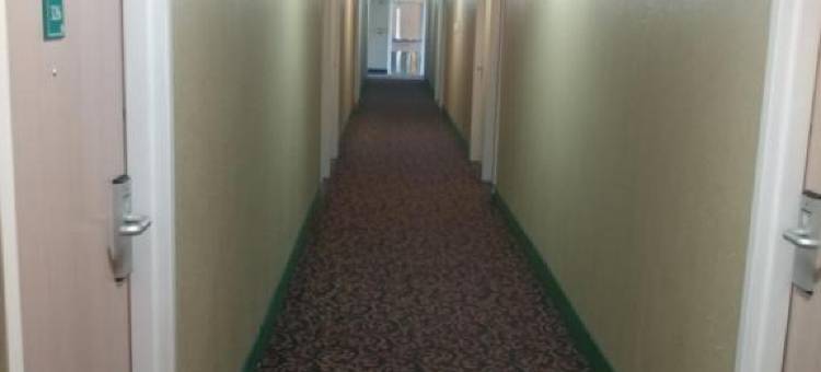 新坎伯兰速8温德姆酒店(Super 8 by Wyndham New Cumberland)图片