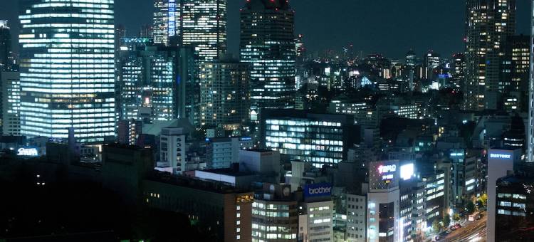 都市中心酒店(Toshi Center Hotel)图片