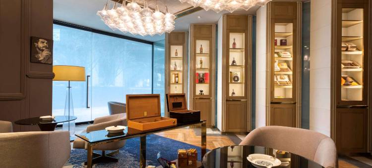 吉隆坡达曼萨拉索菲特酒店(Sofitel Kuala Lumpur Damansara)图片