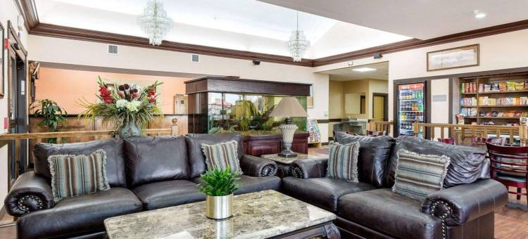 克鲁特杰克森湖舒适全套房酒店(Comfort Suites Lake Jackson Clute)图片