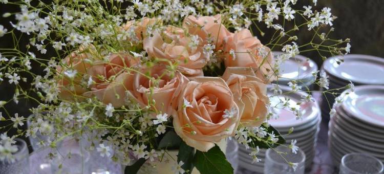 坎托多库里奥旅馆(VOA Canto do Curió Paraty)图片