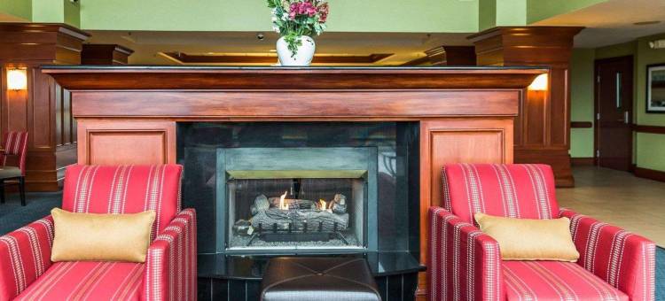 曼纳萨斯战场公园舒适套房酒店(Comfort Suites Manassas Battlefield Park)图片