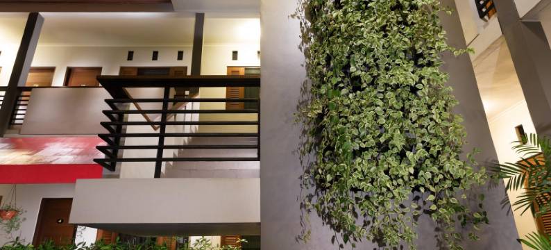 劳工组织酒店(Ilos Hotel)图片