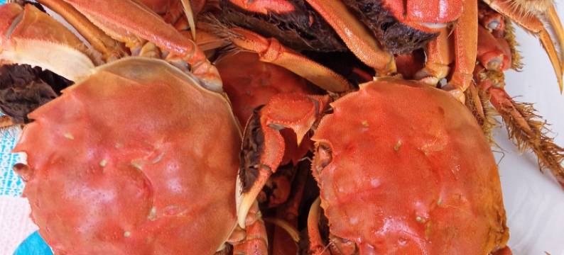 双福农家院(叫崔路分店)图片