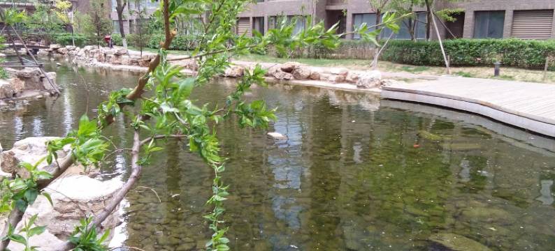 偶然相遇公寓(市府路分店)图片