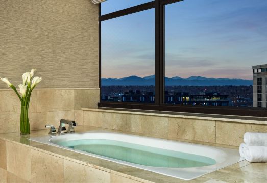 The Ritz-Carlton, Denver Hotel Overview
