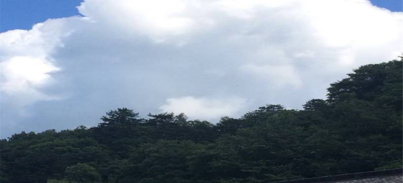 武当山多来精品民宿(民营东街分店)图片