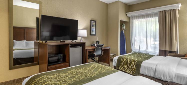 南金斯波特舒适酒店(Comfort Inn South)图片