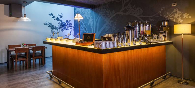 伊斯梅尔酒店(Hotel Ismael)图片