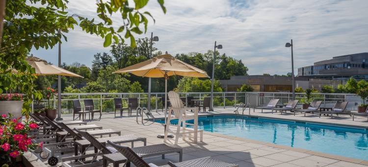 贝塞斯达切维蔡斯万怡酒店(Courtyard Bethesda Chevy Chase)图片
