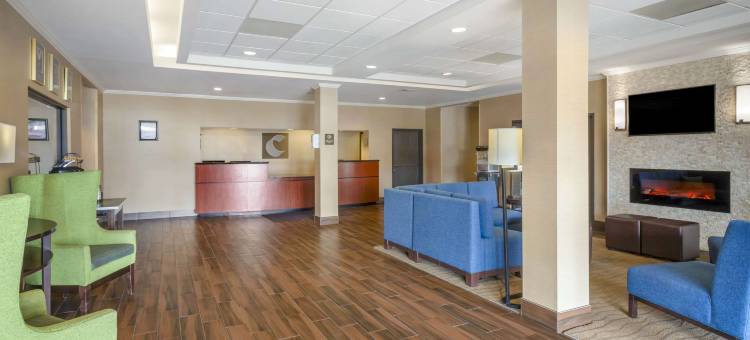 舒适套房酒店(Comfort Inn & Suites)图片