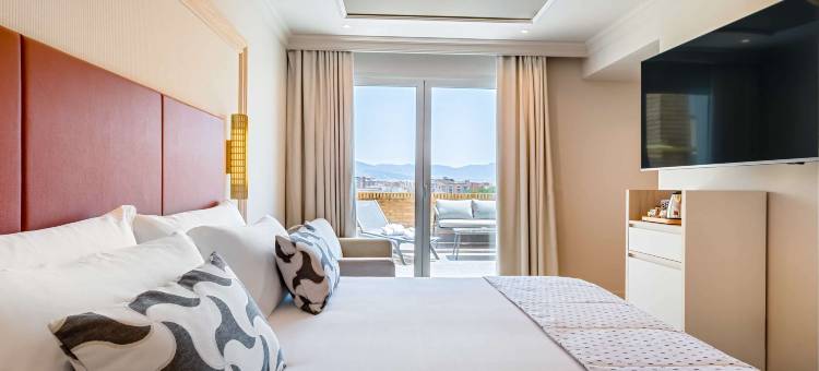 格拉纳达巴塞罗卡门酒店(Barceló Carmen Granada)图片