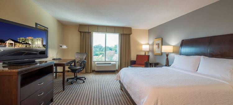 希尔顿花园酒店-亚特兰大机场北(Hilton Garden Inn Atlanta Airport North)图片