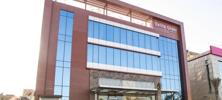 德利特大酒店(Hotel Delite Grand)图片