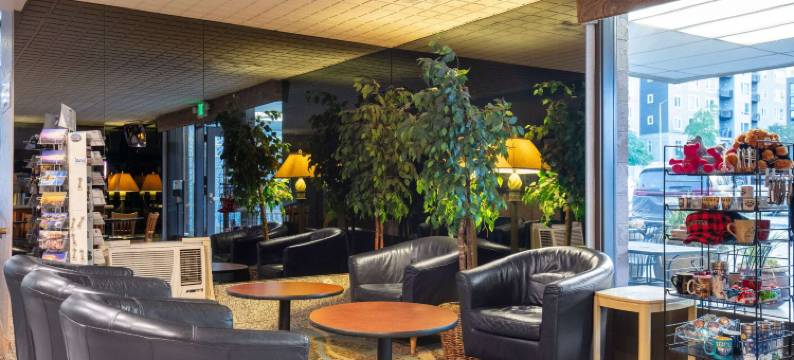 西雅图太空针塔Travelodge by Wyndham酒店(Travelodge by Wyndham Seattle by The Space Needle)图片