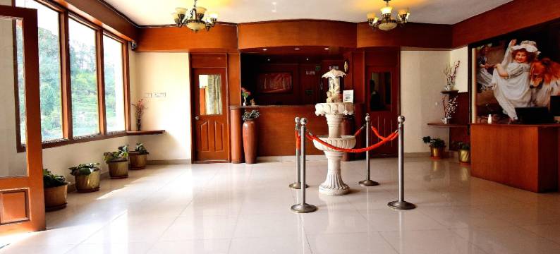 新嘉年华酒店(New Carnival)图片