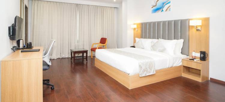 乌代布尔舒适酒店(Comfort Inn Udaipur)图片