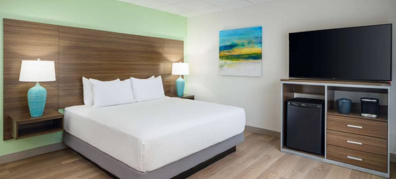 那不勒斯贝斯特韦斯特套房酒店(Best Western Naples Inn  Suites)图片