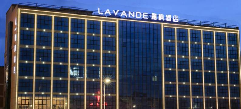 麗枫酒店(深圳坪山高铁站龙东地铁站店)图片