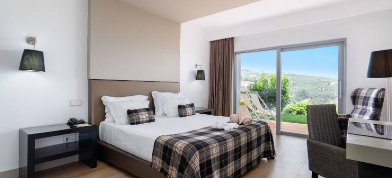 德尔芬杜罗酒店(Delfim Douro Hotel)图片