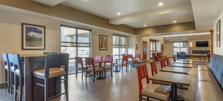 舒适套房酒店-近丹佛市区(Comfort Suites Near Denver Downtown)图片