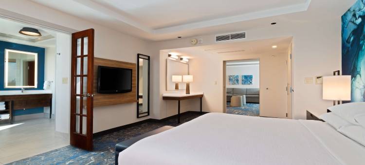 希尔顿坦帕布希花园附近美国佛罗里达大学大使套房酒店(Embassy Suites by Hilton Tampa USF Near Busch Gardens)图片