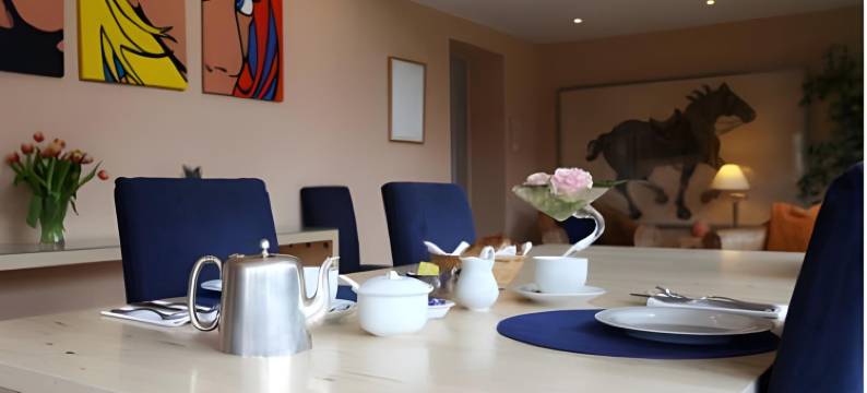 泰纳莱旅馆(Tigh Na Leigh)图片